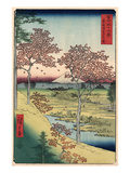 Japan: Maple Trees  1858