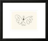 The Butterfly