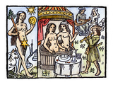 Allegory Of Venus  1496