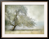 Tree in Field of Flowers