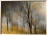 Composited Image of Trees