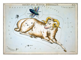 Constellation: Aries