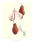 Pears