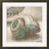 Coastal Gems II