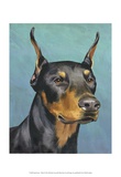 Dog Portrait  Dobie