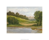 Spring Light I