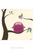 Orchard Owls IV