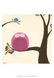Orchard Owls VI
