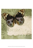 Butterfly Notes IV