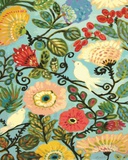 Sweet Cottage Garden
