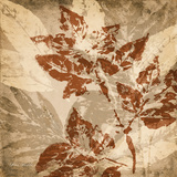 Summer Bloom Stem Square II