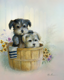 Brotherly Love