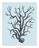 Coral on Aqua I