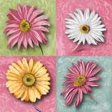 Blooming Collection II