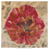 Poppy Swirl VI