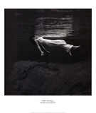 Weeki Wachee Spring  Florida  c1947