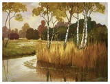 Reeds  Birches and Water II