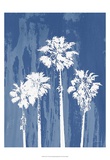 Oasis II