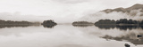 Lakeside Reflections