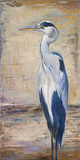 Blue Heron II