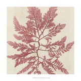 Brilliant Seaweed I