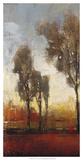 Tall Trees I