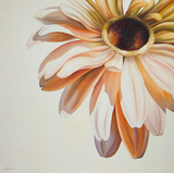 Warm Flower