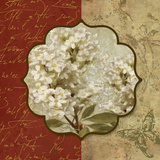 Tuscan Glimpse I