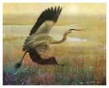Foggy Heron I