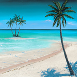 Palm Island II