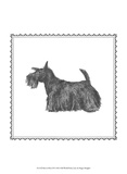 Best in Show IX