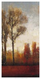 Tall Trees II
