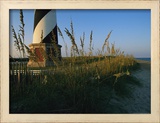 Sea Oats Bending in Wind Near the Cape Hatteras Lighthouse