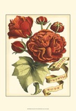 Ribbon Florals III