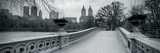 Winter Walk