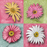 Blooming Collection I