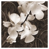 Orchid and Swirls I