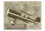 Tour by Plane I