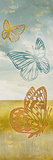 Fluttering Field II