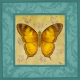 Colorful Wings Square II