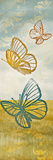 Fluttering Field I