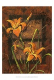 Day Lily II