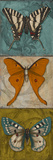 Blue Wings I