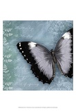 Butterfly Notes X