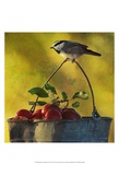 Apples and Chickadee