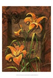 Day Lily I
