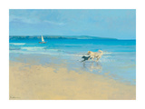 Summer Sands