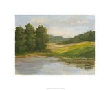Spring Light IV