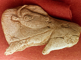 Prehistoric Bison Carving
