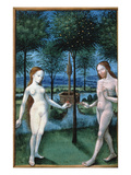 Adam And Eve